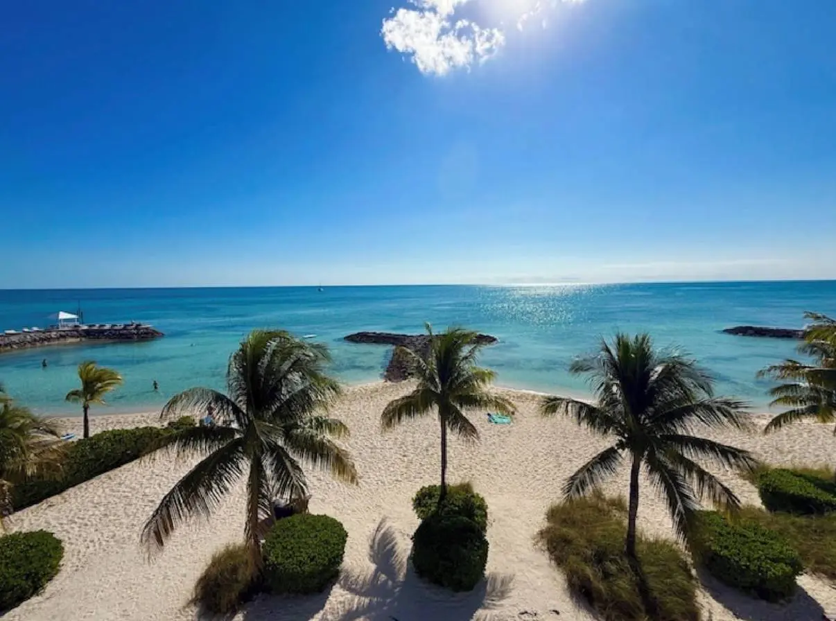 Sunny beach with palm trees and clear blue water under a bright sky.