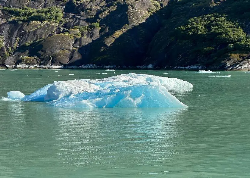 A small blue iceberg floating in calm water near rocky shores.