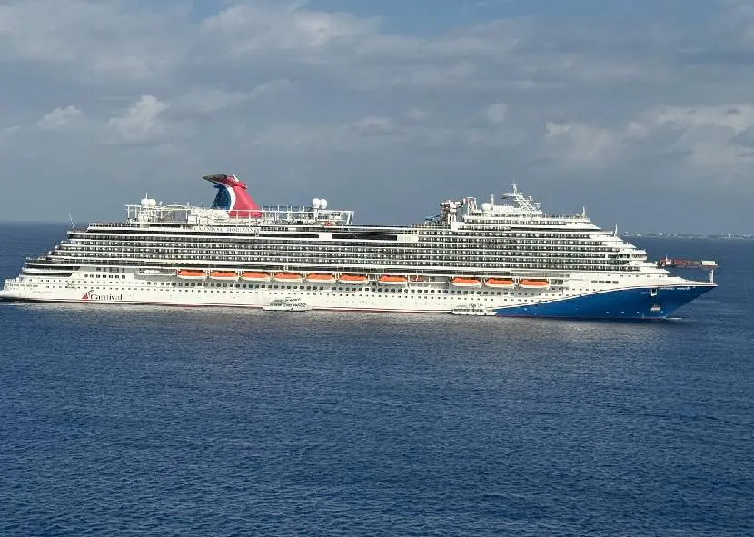 Large cruise ship sailing on calm ocean waters under a cloudy sky.