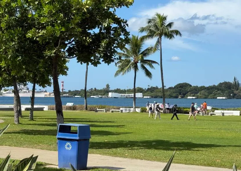 A tropical park with palm trees and people near the water.